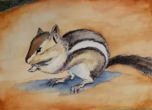 Chipmunk in ink and watercolor on paper.