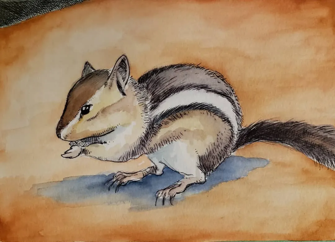 Chipmunk in ink and watercolor on paper.