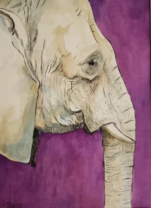 Ink and watercolor elephant painting on ink wash paper.