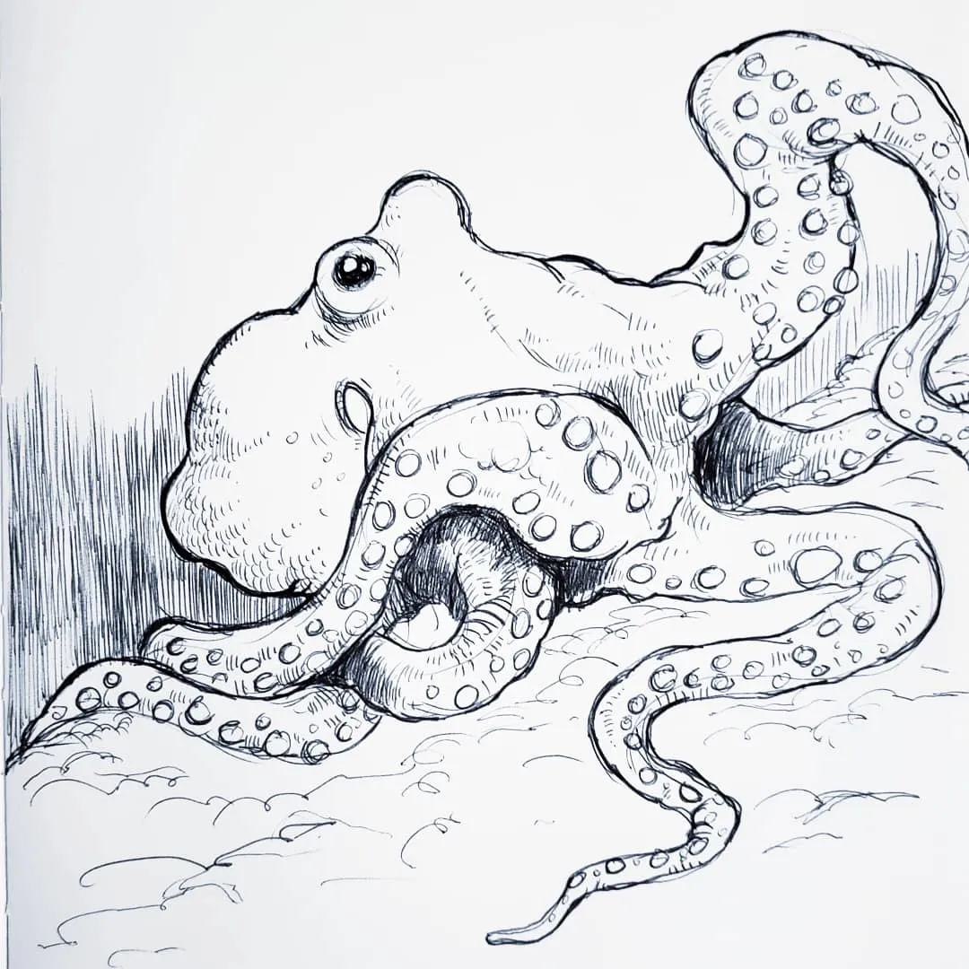 Ballpoint pen study of an octopus in a sketchbook.
