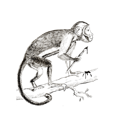 The Paintmonkey logo, click to go to the Home page.