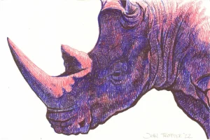 Rhino portrait in red, blue, and black ballpoint pens with crosshatching.