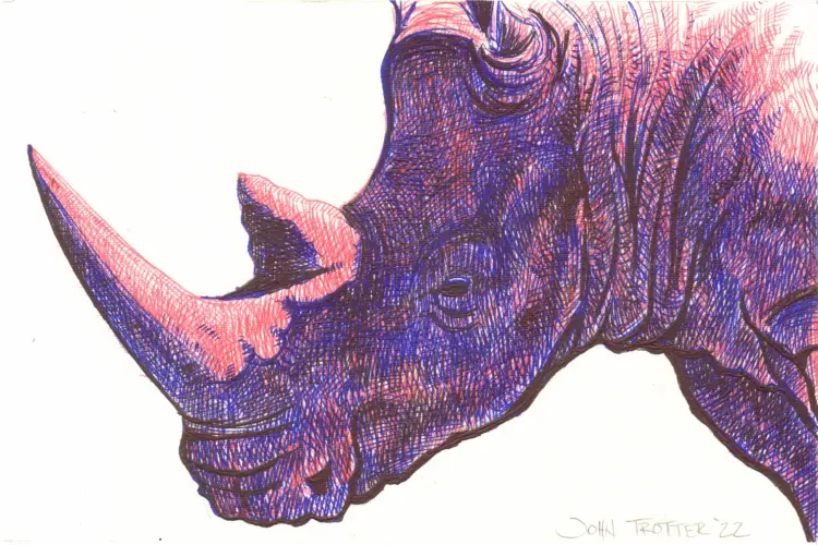 Rhino portrait in red, blue, and black ballpoint pens with crosshatching.