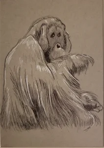Male orangutan in pen & ink with white gel pen highlights on toned paper.