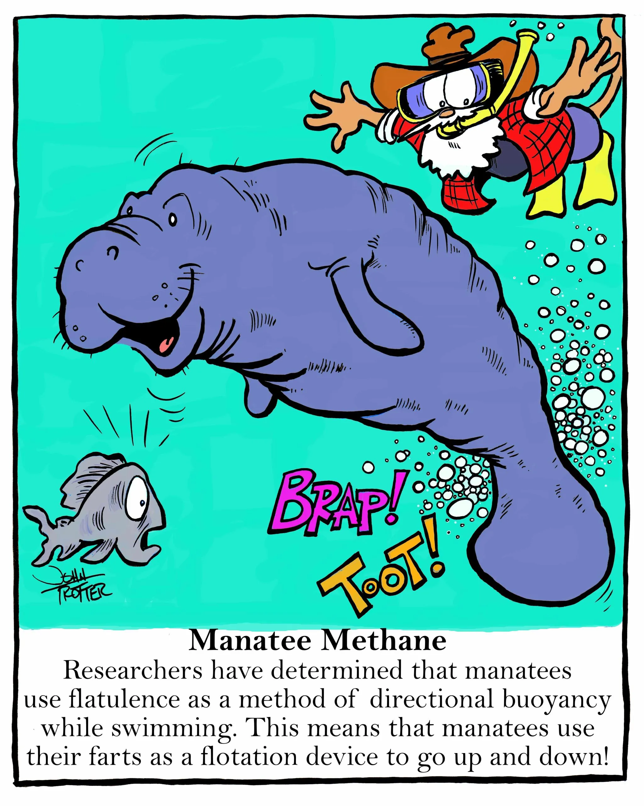 Manatee controlling buoyancy with flatulence while the Paintmonkey looks on.