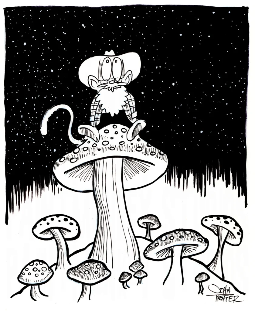 Cartoon of the Paintmonkey sitting on a large mushroom and staring up at the stars in the night sky.