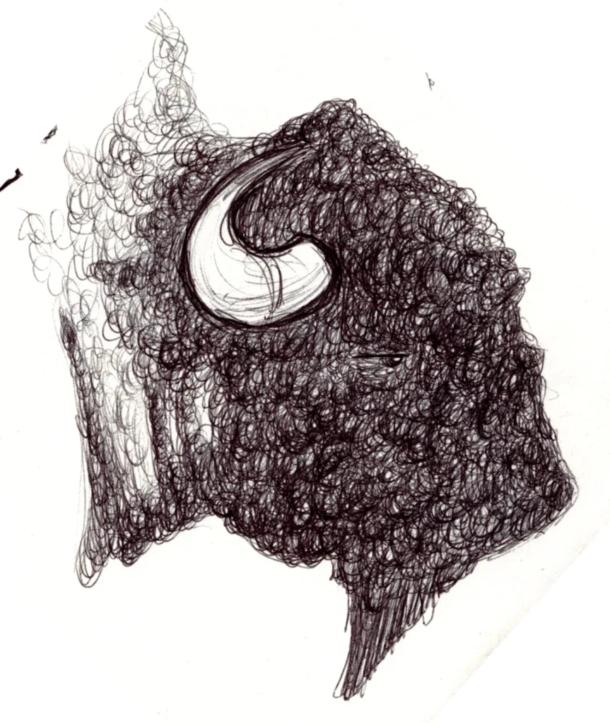 Ballpoint sketch of a bison head.
