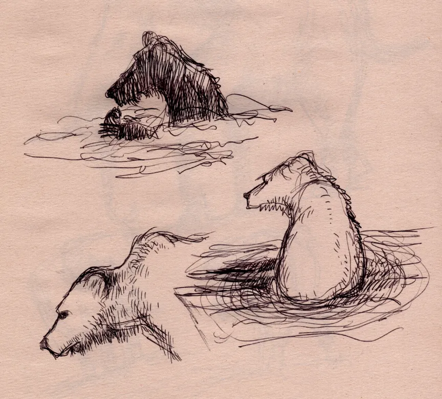 Ballpoint sketches of bears on newsprint fishing for salmon in the river at Katmai Falls in Alaska.