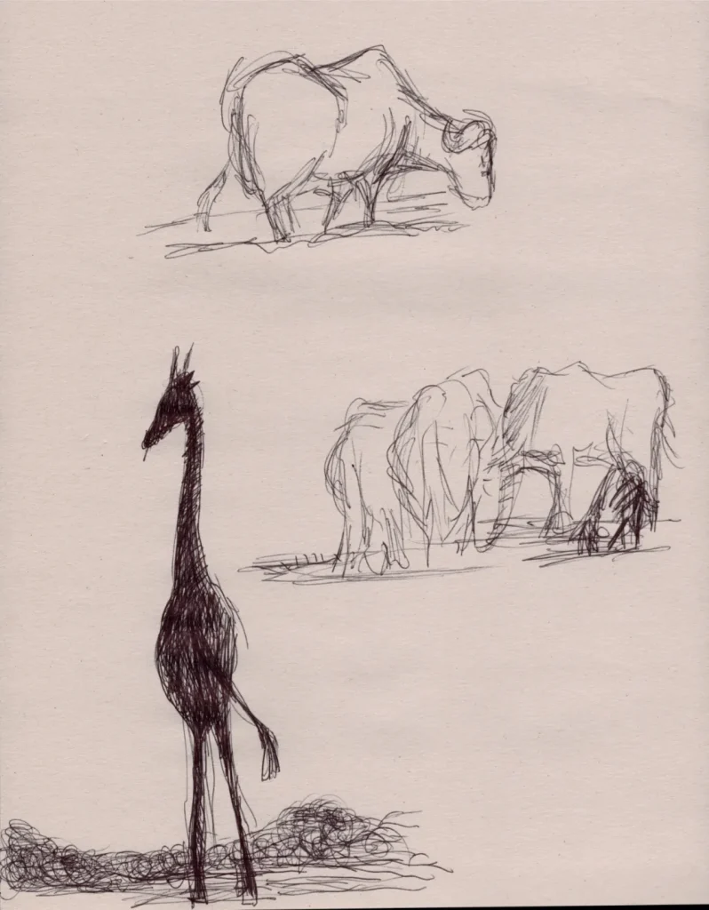 Ballpoint sketches on newsprint of a giraffe in silhouette, a group of elephants around a watering hole, and a cape buffalo.